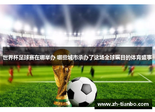 世界杯足球赛在哪举办 哪些城市承办了这场全球瞩目的体育盛事