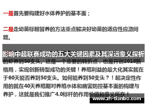 影响中超联赛成功的五大关键因素及其深远意义探析