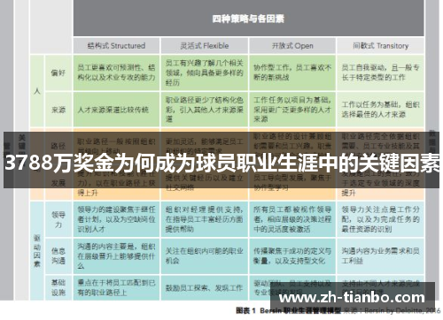3788万奖金为何成为球员职业生涯中的关键因素