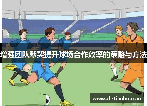 增强团队默契提升球场合作效率的策略与方法