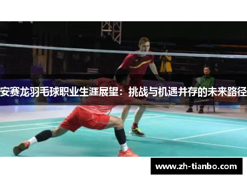 安赛龙羽毛球职业生涯展望：挑战与机遇并存的未来路径