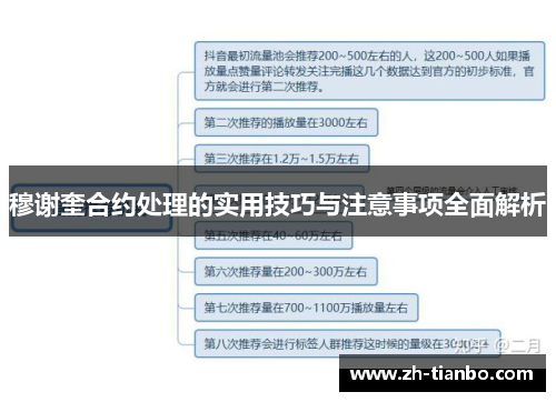 穆谢奎合约处理的实用技巧与注意事项全面解析 穆谢奎合约处理的实用技巧与注意事项全面解析