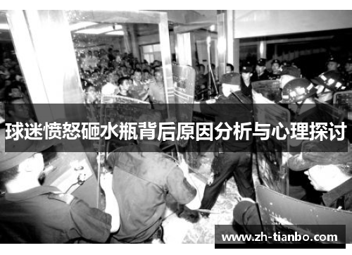 球迷愤怒砸水瓶背后原因分析与心理探讨