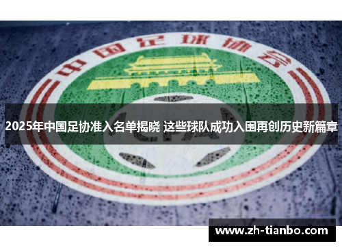 2025年中国足协准入名单揭晓 这些球队成功入围再创历史新篇章