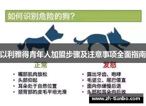 以利雅得青年人加盟步骤及注意事项全面指南 以利雅得青年人加盟步骤及注意事项全面指南