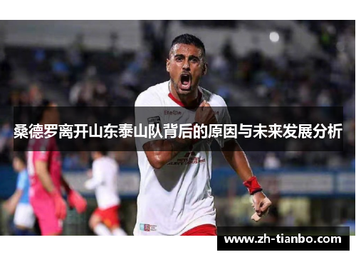 桑德罗离开山东泰山队背后的原因与未来发展分析 桑德罗离开山东泰山队背后的原因与未来发展分析
