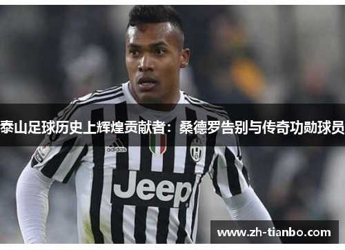 泰山足球历史上辉煌贡献者:桑德罗告别与传奇功勋球员 泰山足球历史上辉煌贡献者:桑德罗告别与传奇功勋球员