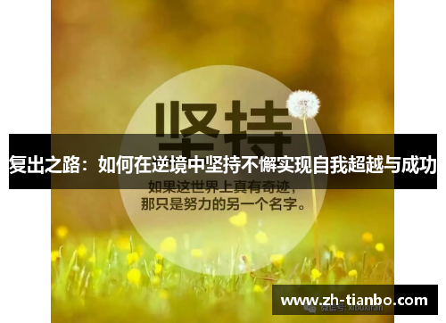 复出之路：如何在逆境中坚持不懈实现自我超越与成功