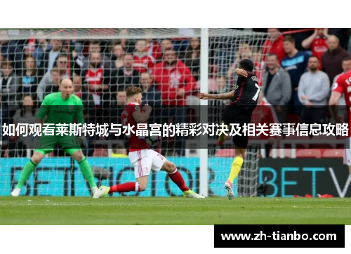 如何观看莱斯特城与水晶宫的精彩对决及相关赛事信息攻略 如何观看莱斯特城与水晶宫的精彩对决及相关赛事信息攻略