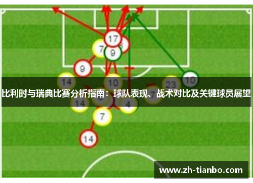 比利时与瑞典比赛分析指南:球队表现、战术对比及关键球员展望 比利时与瑞典比赛分析指南:球队表现、战术对比及关键球员展望