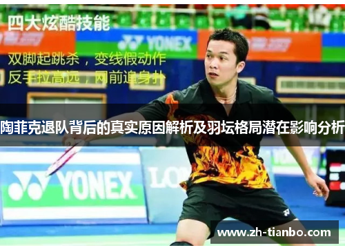 陶菲克退队背后的真实原因解析及羽坛格局潜在影响分析