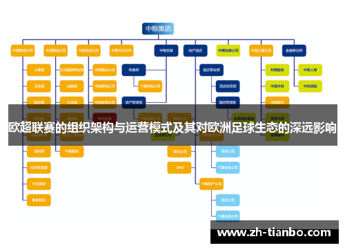 欧超联赛的组织架构与运营模式及其对欧洲足球生态的深远影响