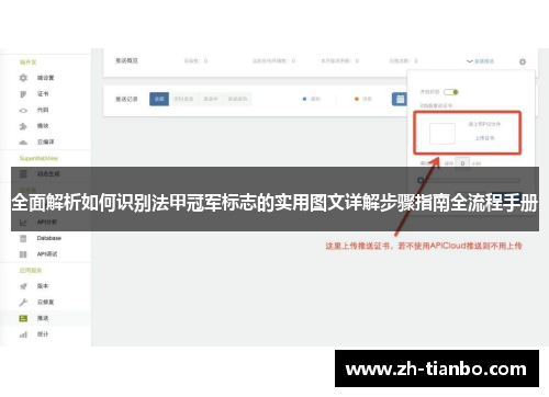 全面解析如何识别法甲冠军标志的实用图文详解步骤指南全流程手册